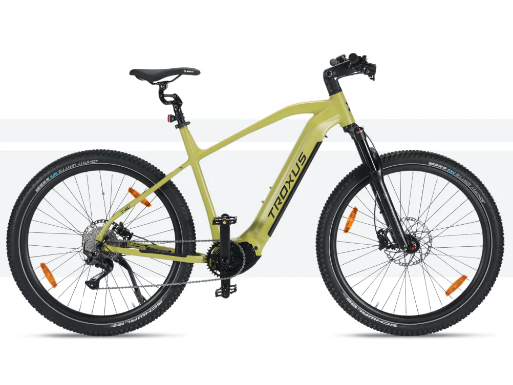 Warum Elektrofahrräder der nächste große Trend sind