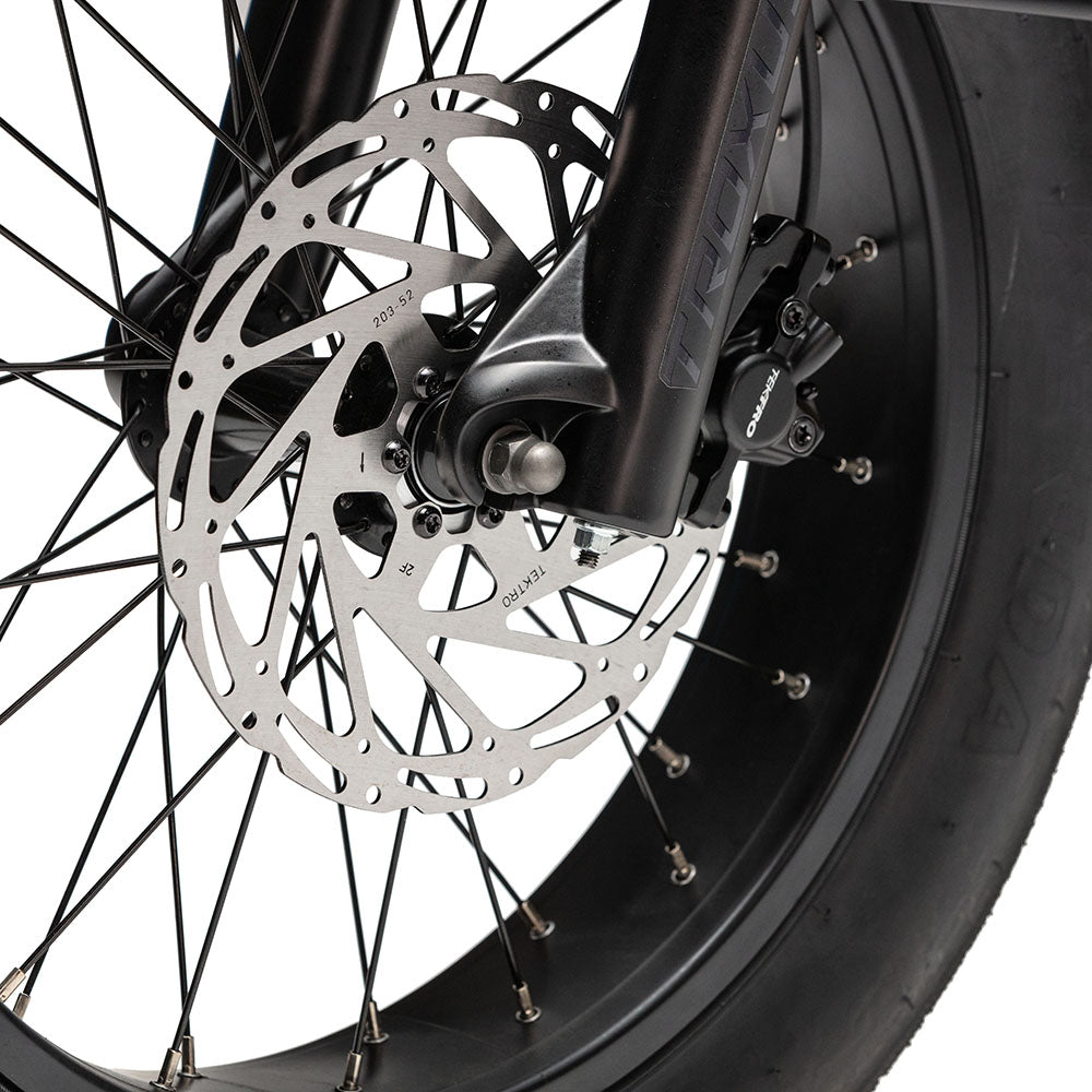 Troxus Lynx Cargo-E-Bike