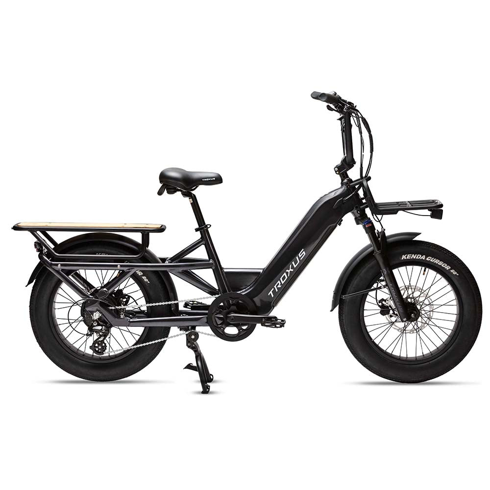 Troxus Lynx Cargo-E-Bike