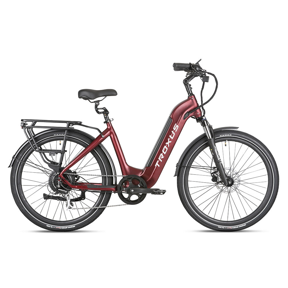 Troxus Trax 1.0 Pendler-E-Bike