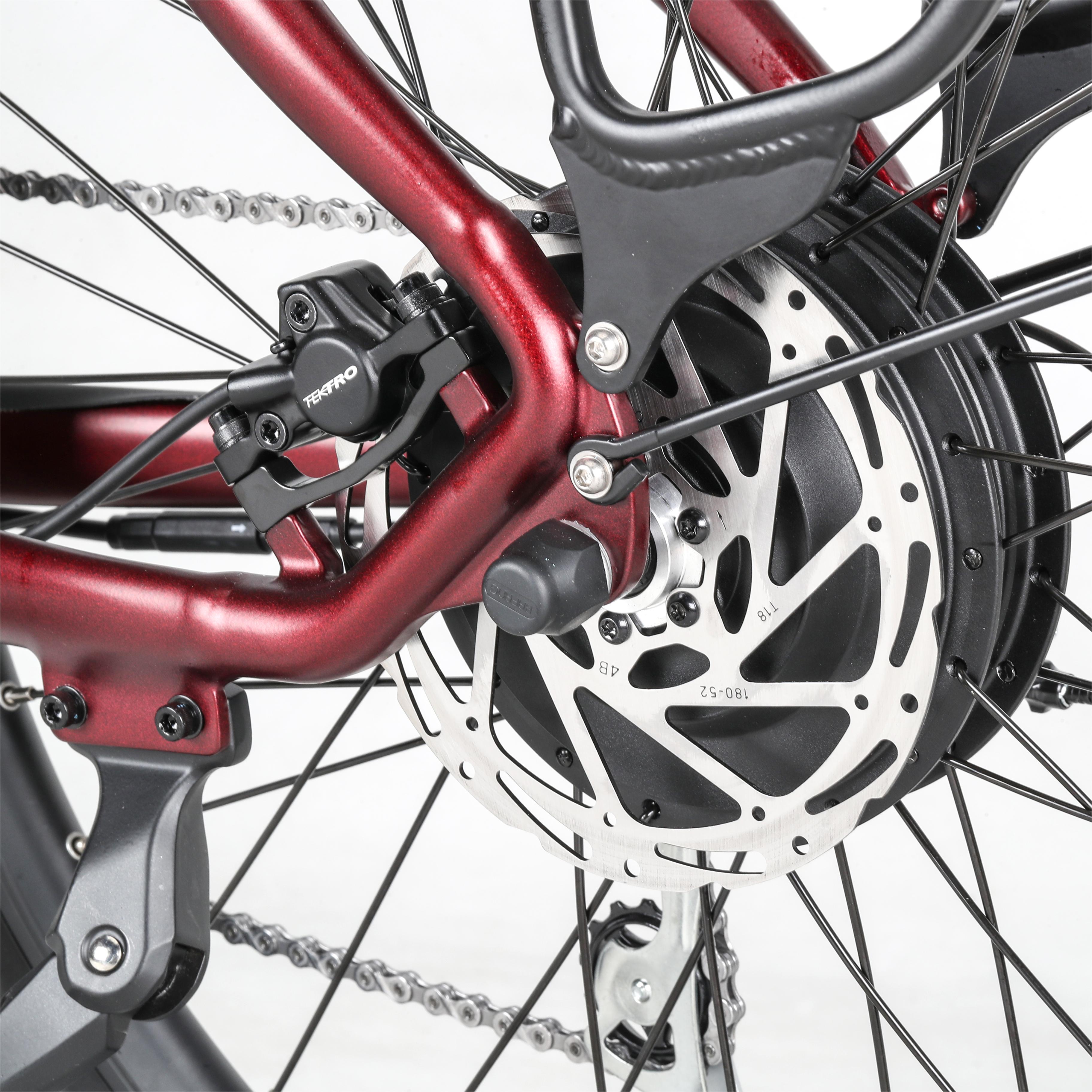 Troxus Trax 1.0 Pendler-E-Bike