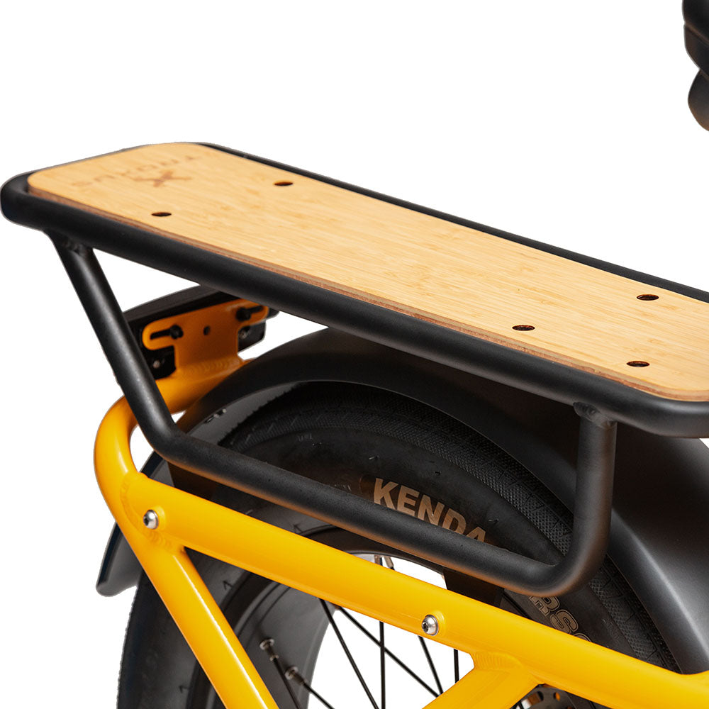 Troxus Lynx Cargo-E-Bike