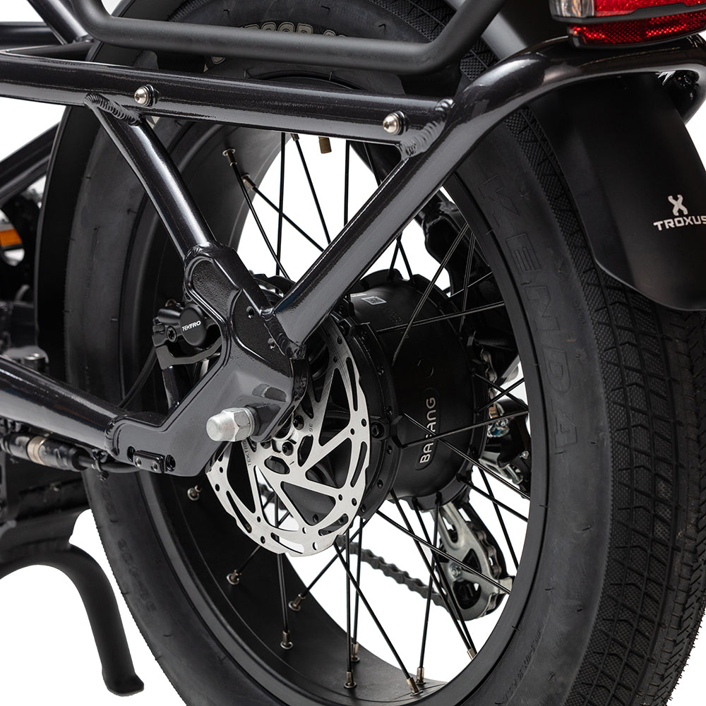 Troxus Lynx Cargo-E-Bike
