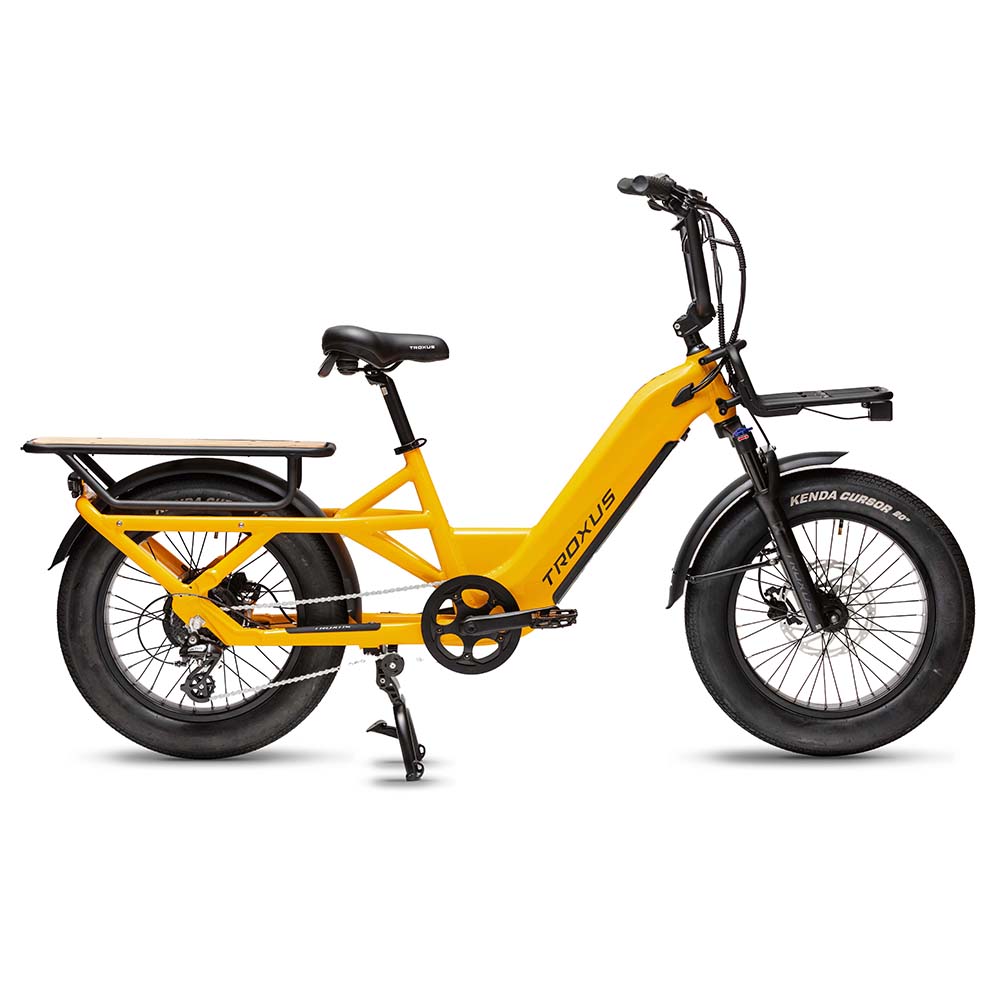Troxus Lynx Cargo-E-Bike