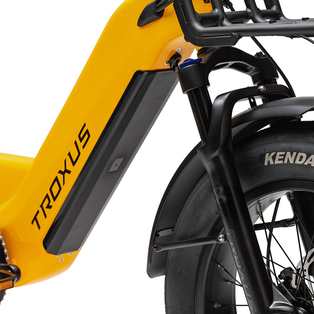 Troxus Lynx Cargo-E-Bike