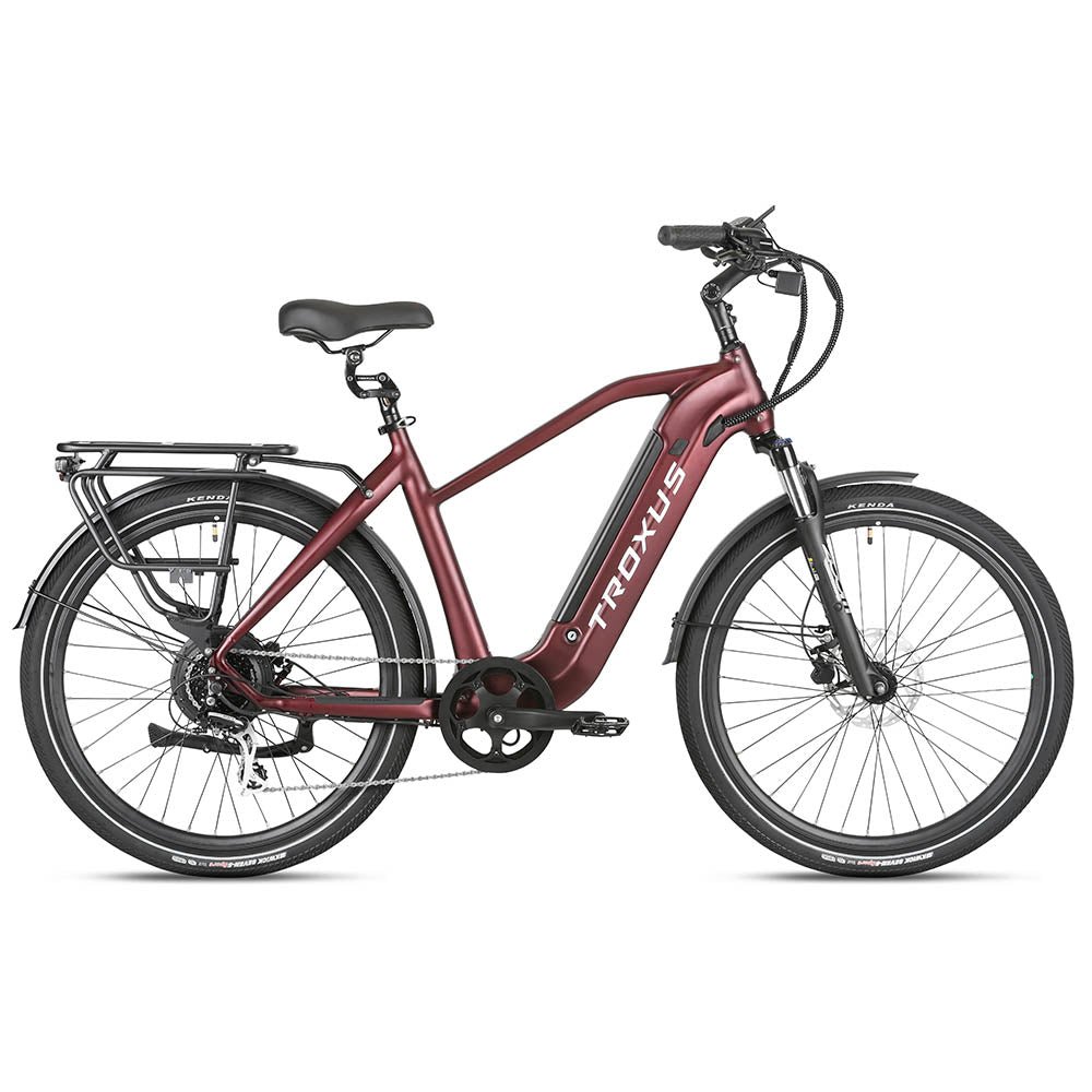 Troxus Trax 1.0 Pendler-E-Bike