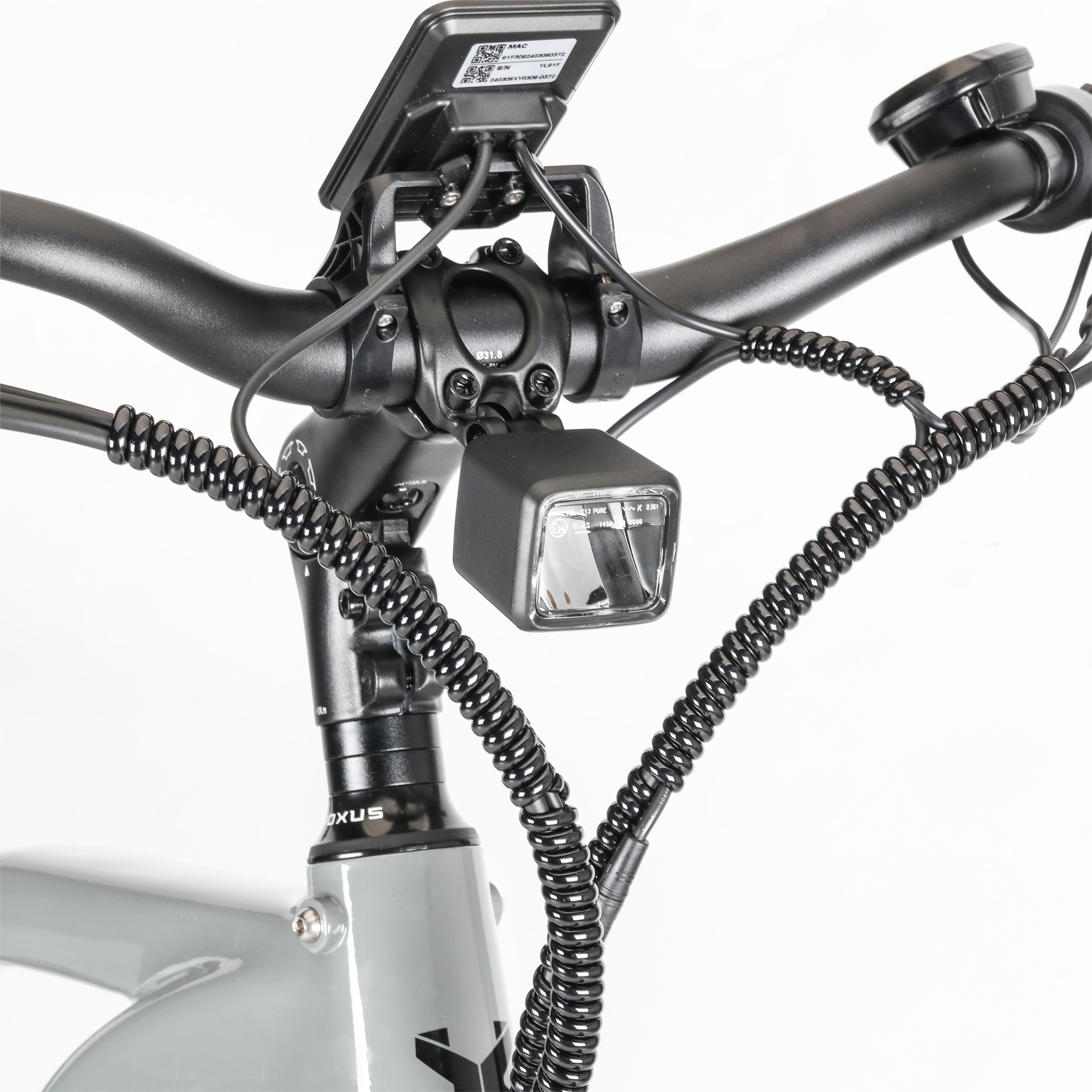 Troxus Trax 1.0 Pendler-E-Bike