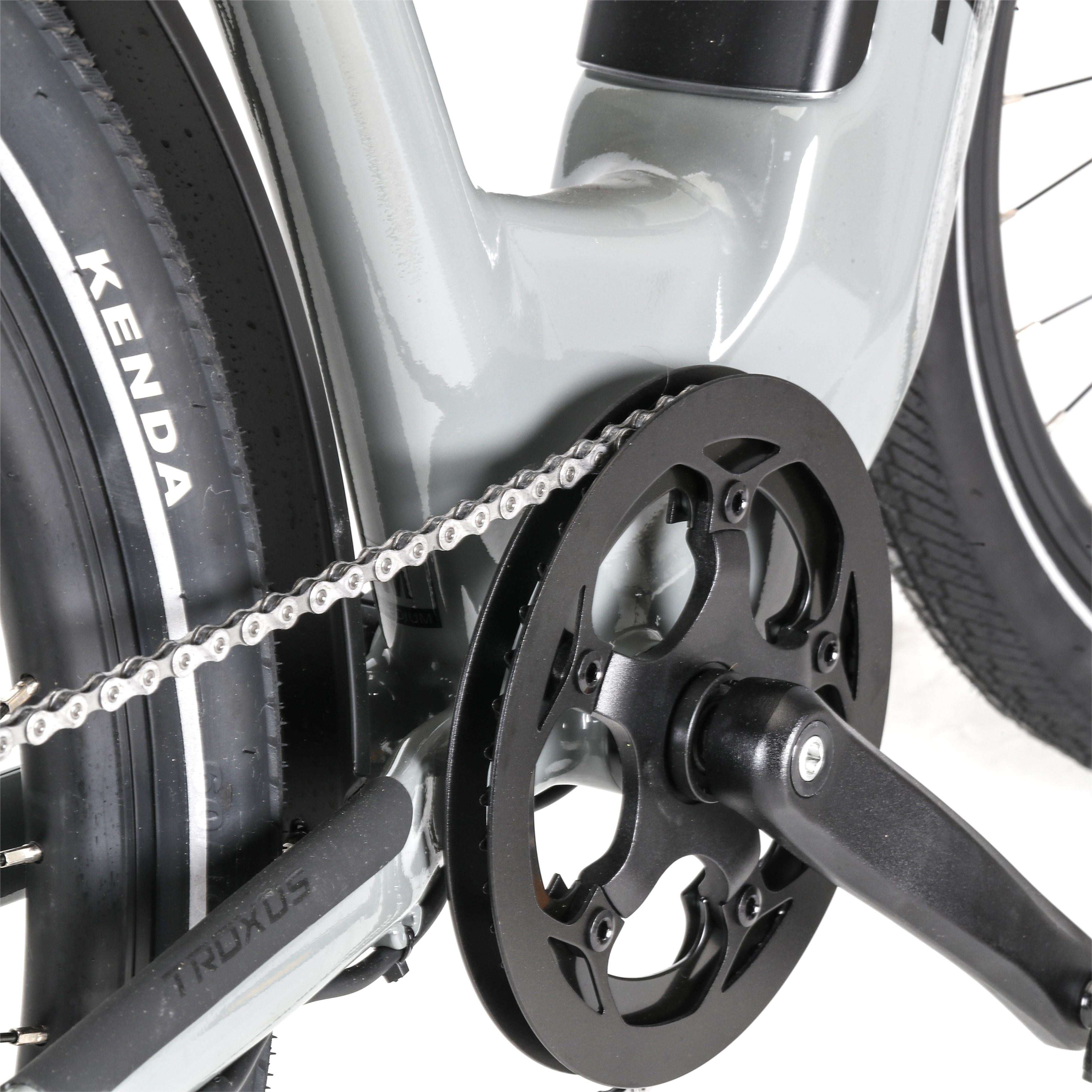 Troxus Trax 1.0 Pendler-E-Bike